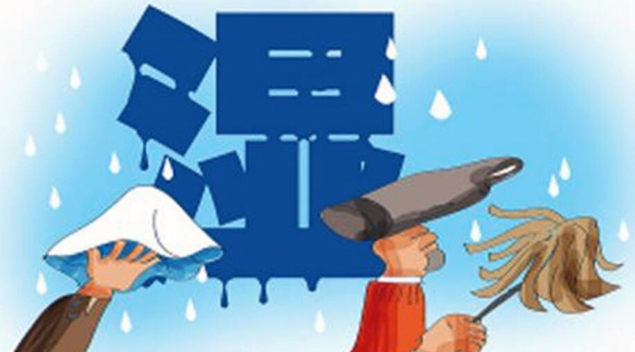 除濕機的原理！回南天潮濕天氣怎樣，回南天防潮攻略？